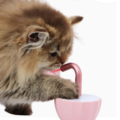 KittyBeam | Automatyczna Zabawka dla Kota z Laserem