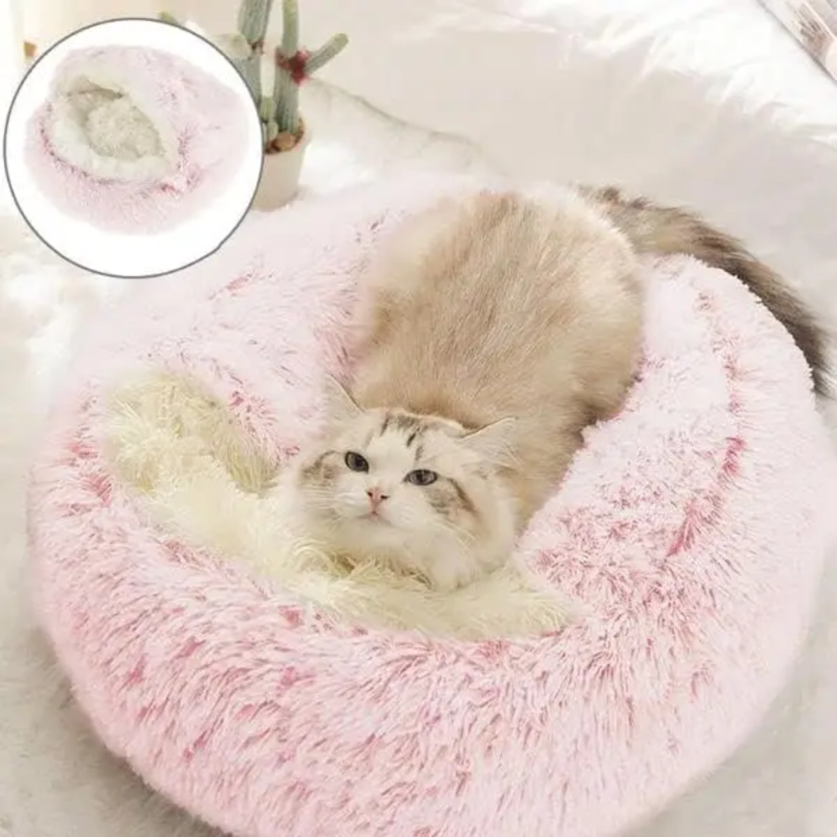 CozyCave | Znana Kanapa dla Kota i Psa