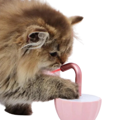 KittyBeam | Automatyczna Zabawka dla Kota z Laserem
