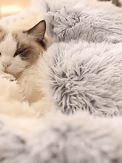 CozyCave | Znana Kanapa dla Kota i Psa