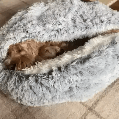CozyCave | Znana Kanapa dla Kota i Psa