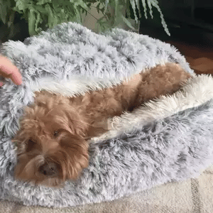 CozyCave | Znana Kanapa dla Kota i Psa